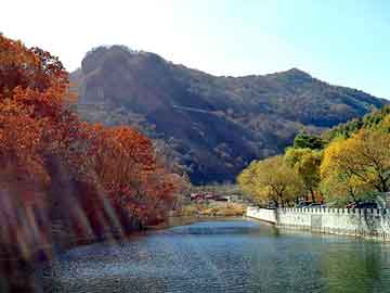 新澳天天开奖资料大全旅游团，育森